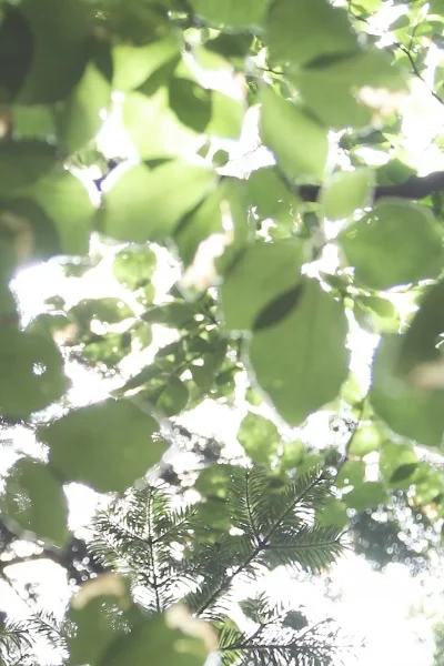 Etisk og bærekraftig