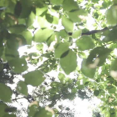 Etisk og bærekraftig